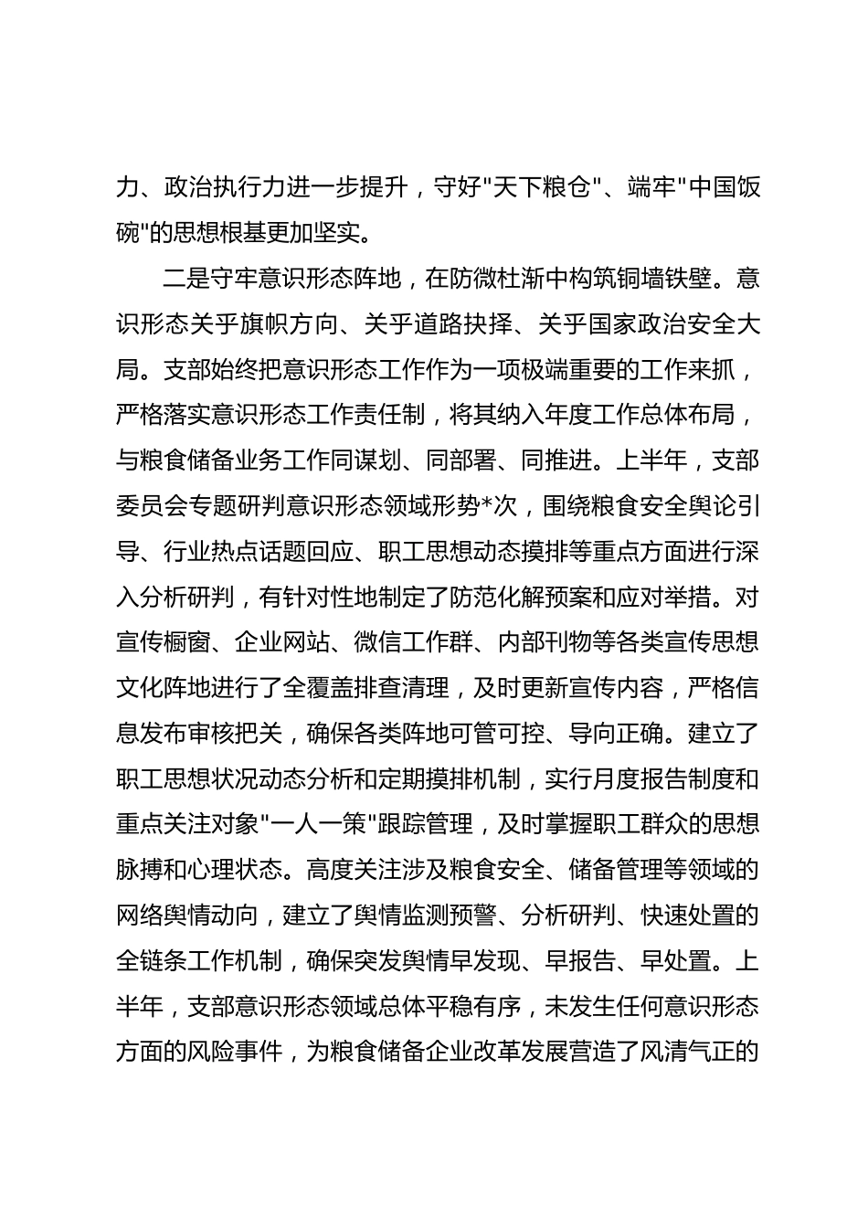 公司党支部2026年上半年全面从严治党工作总结_第3页