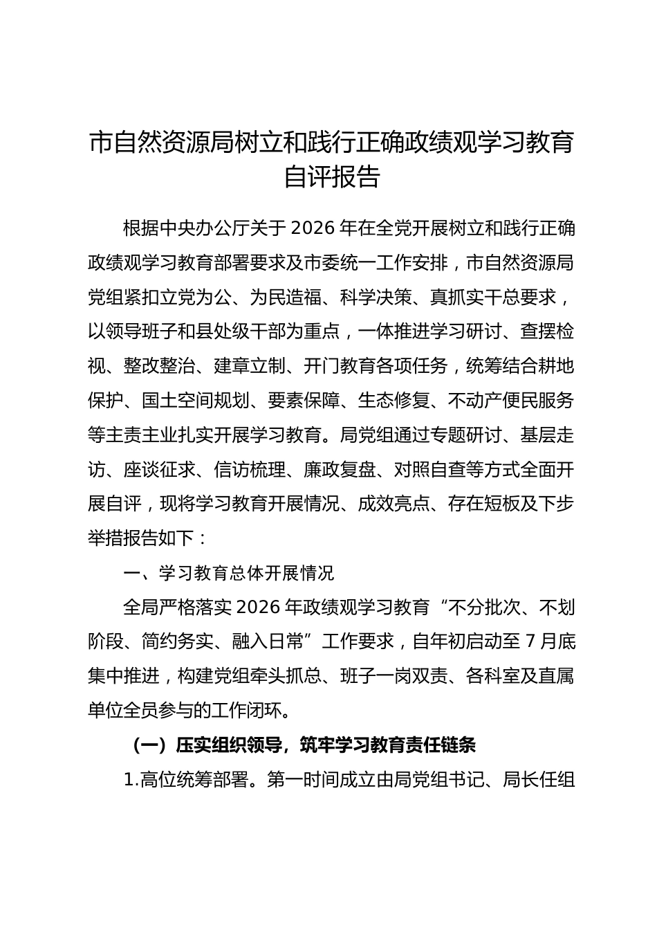 市自然资源局2026年树立和践行正确政绩观学习教育自评报告_第1页