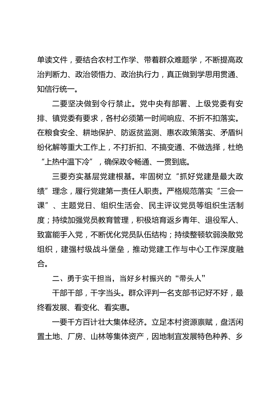 在2026年XX乡镇村党支部书记集中谈话会上的讲话_第2页
