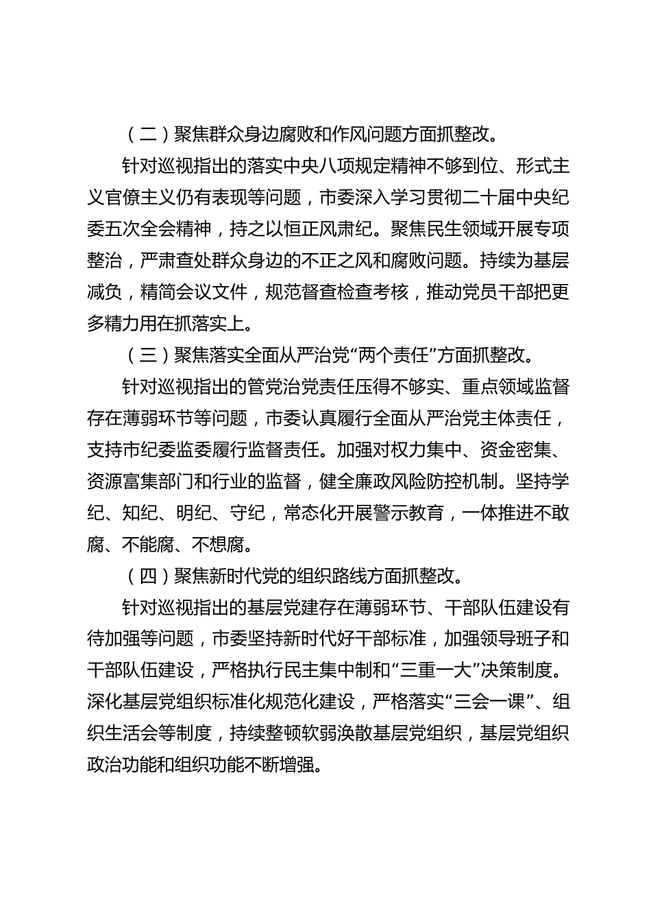 xx市2026年度巡视整改工作情况报告_第3页