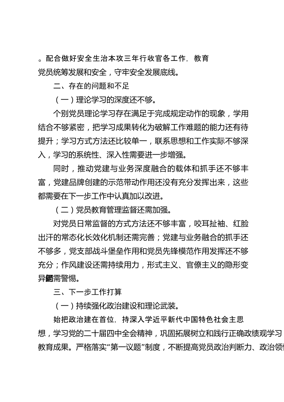 xx市2026年度党支部全面从严治党工作汇报_第3页
