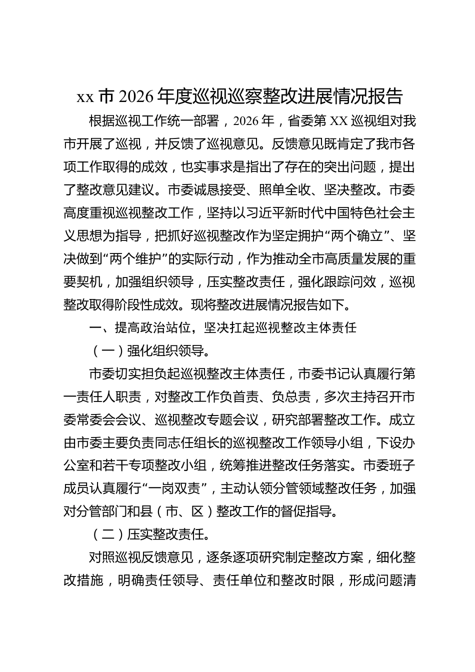 xx市2026年度巡视巡察整改进展情况报告_第1页